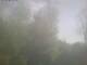Ittigen 30.04.2025 08:46