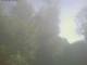 Ittigen 09.07.2025 08:46