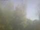 Ittigen 29.04.2025 08:46