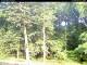 Hilversum 09.06.2025 08:54