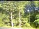 Hilversum 15.06.2025 08:53
