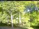 Hilversum 29.04.2025 08:54