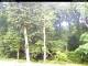 Hilversum 15.06.2025 08:53