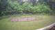 Tustin, Michigan 15.06.2025 08:53