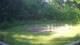 Tustin, Michigan 30.06.2025 08:53