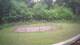 Tustin, Michigan 14.06.2025 08:53