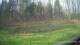 Tustin, Michigan 29.04.2025 08:54