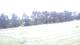 Pittsburg, Illinois 30.06.2025 08:59