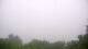 Fayetteville, Arkansas 21.03.2025 08:00