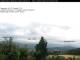 Birnbrunn 03.07.2025 08:53