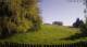 Ebersbach-Neugersdorf 09.05.2025 08:54