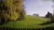 Ebersbach-Neugersdorf 29.04.2025 08:54