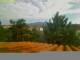 Pallini 30.04.2025 08:54