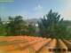 Pallini 17.03.2025 08:54
