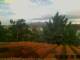 Pallini 30.04.2025 08:54