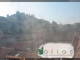 Soave 30.04.2025 08:54