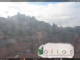 Soave 20.03.2025 08:54