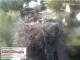 Aurach 30.04.2025 08:54