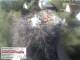 Aurach 08.05.2025 08:54