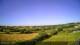 Carnkie 11.07.2025 08:54