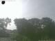 Steinbach 15.06.2025 08:54