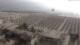 Milano Marittima 15.06.2025 08:54