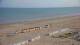 De Panne 01.06.2025 08:46