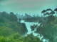 Linley Point 30.06.2025 08:54