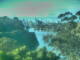 Linley Point 03.07.2025 08:54