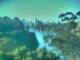Linley Point 06.07.2025 08:54