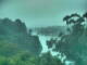 Linley Point 11.05.2025 08:55