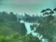 Linley Point 08.07.2025 08:54