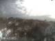 Nordeste (Azoren) 15.06.2025 08:55