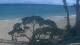 Paia, Hawaii 19.06.2025 08:55