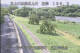 Babacho 15.06.2025 08:55