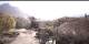 Cordon 30.04.2025 08:56