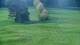 Gap 30.04.2025 08:56