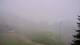 Montferrier 15.06.2025 08:56
