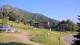 Montferrier 15.06.2025 08:56