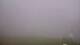 Montferrier 15.06.2025 08:56