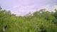 Metairie, Louisiana 08.06.2025 08:09