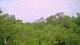 Metairie, Louisiana 11.05.2025 08:09