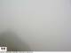 Volcan Turrialba 29.04.2025 08:57
