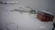 Nuuk 08.05.2025 08:58