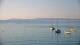 Le Lavandou 12.07.2025 08:57
