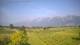 Feldkirch 09.06.2025 08:58