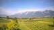 Feldkirch 15.06.2025 08:57