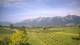 Feldkirch 15.06.2025 08:57
