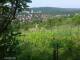 Feuerbach 09.06.2025 08:58