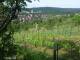 Feuerbach 19.05.2025 08:58